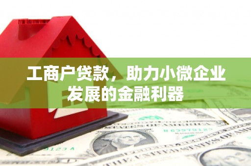 带岭工商户贷款，助力小微企业发展的金融利器