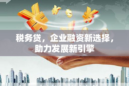 带岭税务贷，企业融资新选择，助力发展新引擎