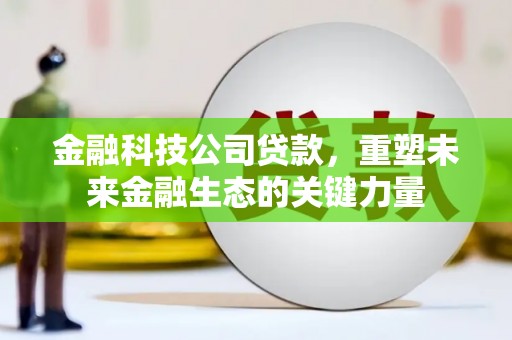 带岭金融科技公司贷款，重塑未来金融生态的关键力量