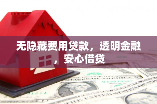 带岭无隐藏费用贷款，透明金融，安心借贷