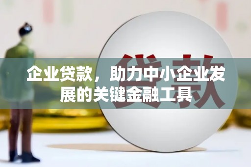 带岭企业贷款，助力中小企业发展的关键金融工具