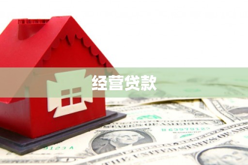 带岭经营贷款