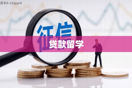 带岭贷款留学