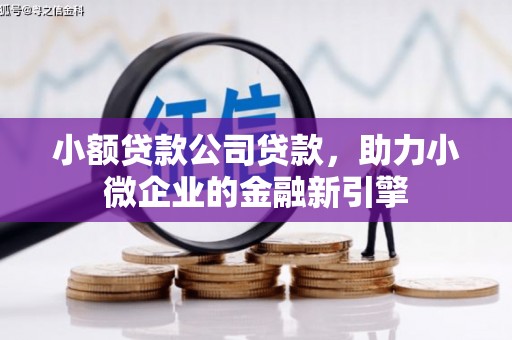 带岭小额贷款公司贷款，助力小微企业的金融新引擎