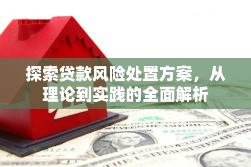 带岭探索贷款风险处置方案，从理论到实践的全面解析