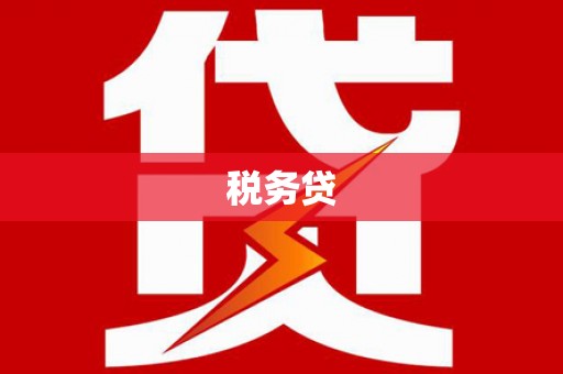 带岭税务贷
