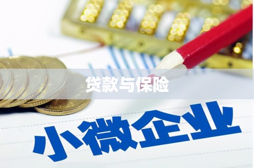 带岭贷款与保险
