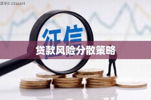 带岭贷款风险分散策略