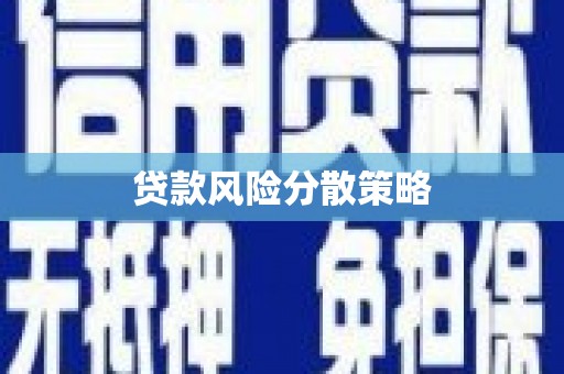 带岭贷款风险分散策略