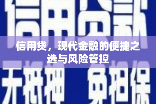 带岭信用贷，现代金融的便捷之选与风险管控