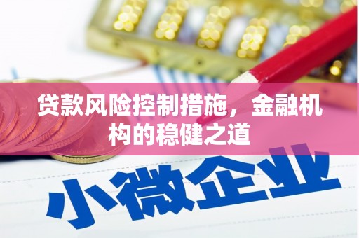带岭贷款风险控制措施，金融机构的稳健之道