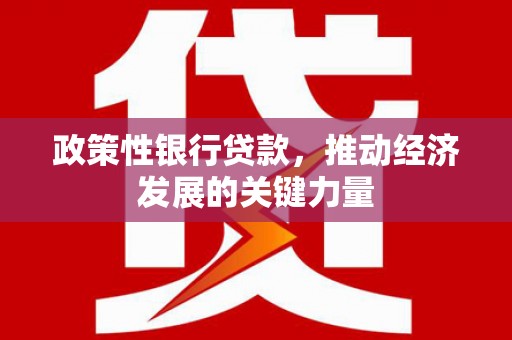 带岭政策性银行贷款，推动经济发展的关键力量