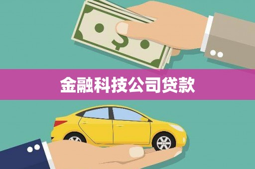 带岭金融科技公司贷款