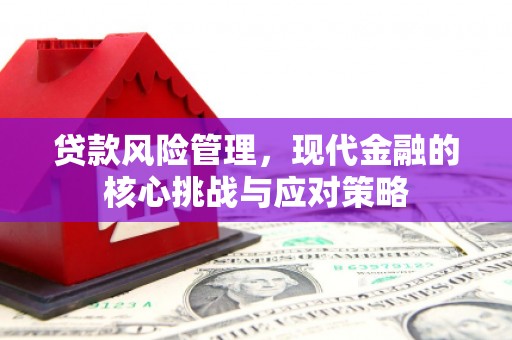 带岭贷款风险管理，现代金融的核心挑战与应对策略