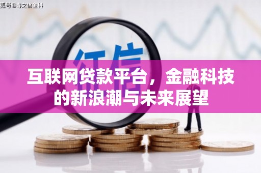 带岭互联网贷款平台，金融科技的新浪潮与未来展望