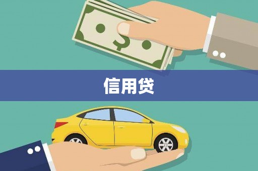 带岭信用贷