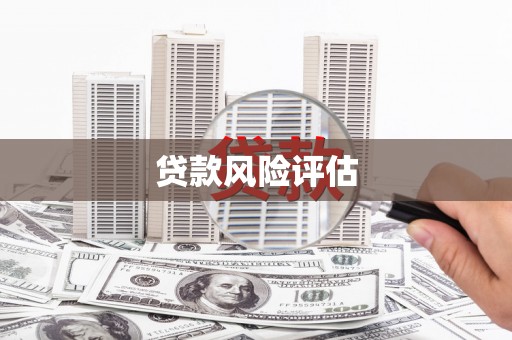 带岭贷款风险评估