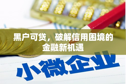 带岭黑户可贷，破解信用困境的金融新机遇