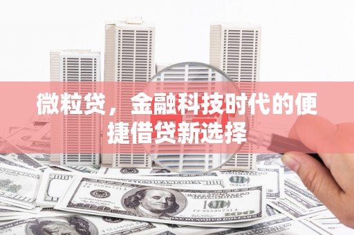 带岭微粒贷，金融科技时代的便捷借贷新选择