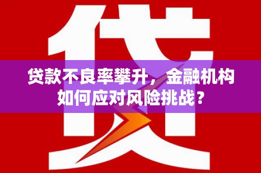 带岭贷款不良率攀升，金融机构如何应对风险挑战？