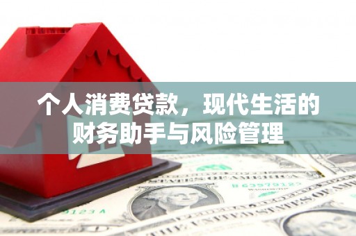 带岭个人消费贷款，现代生活的财务助手与风险管理