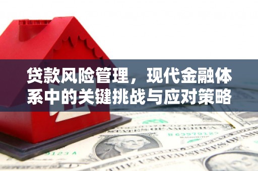 带岭贷款风险管理，现代金融体系中的关键挑战与应对策略