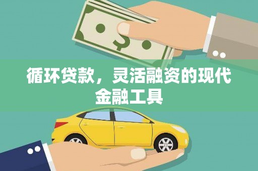 带岭循环贷款，灵活融资的现代金融工具