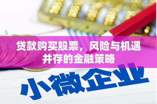 带岭贷款购买股票，风险与机遇并存的金融策略