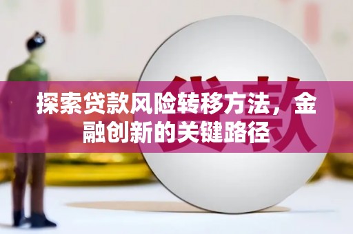 带岭探索贷款风险转移方法，金融创新的关键路径