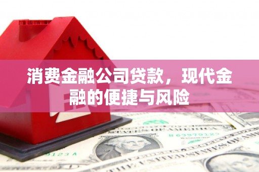 带岭消费金融公司贷款，现代金融的便捷与风险