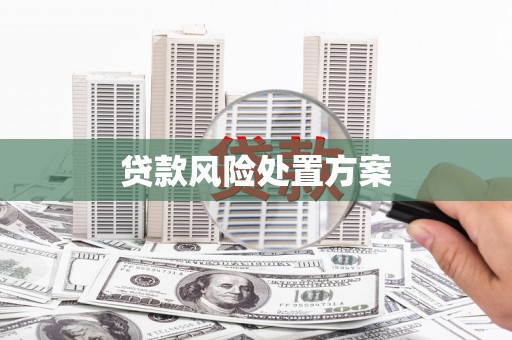 带岭贷款风险处置方案