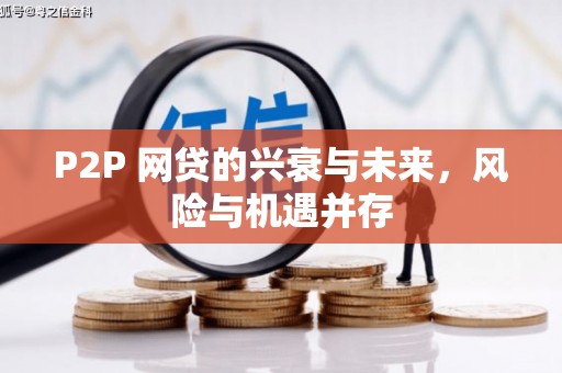 带岭P2P 网贷的兴衰与未来，风险与机遇并存