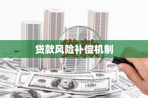 带岭贷款风险补偿机制