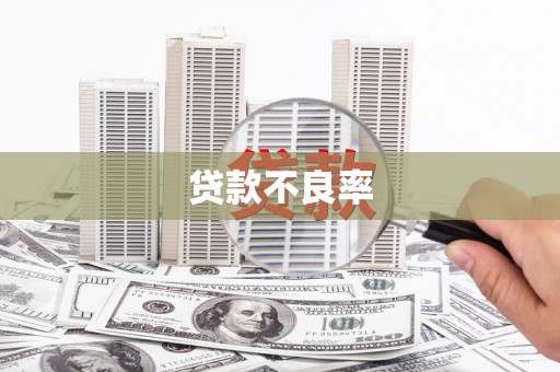 带岭贷款不良率