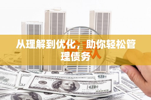 带岭从理解到优化，助你轻松管理债务