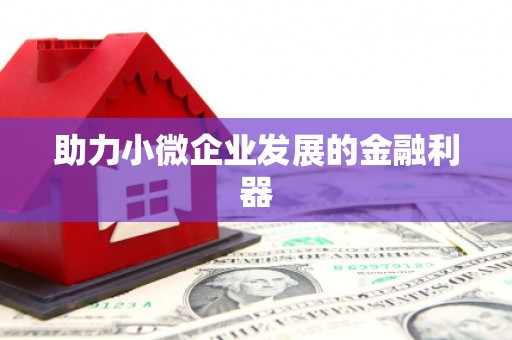 带岭助力小微企业发展的金融利器
