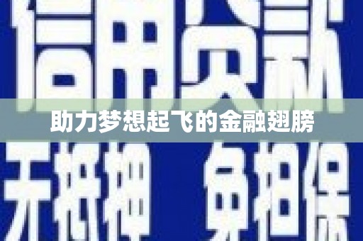 带岭助力梦想起飞的金融翅膀