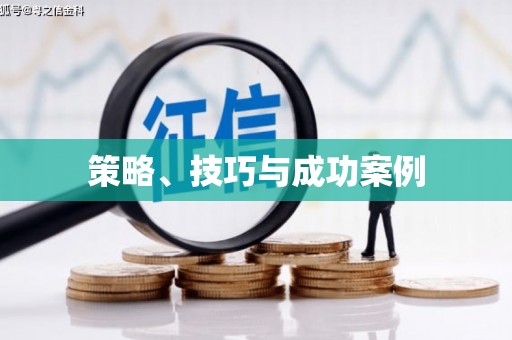 带岭策略、技巧与成功案例