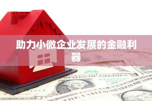 带岭助力小微企业发展的金融利器