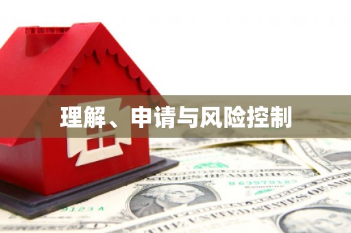 带岭理解、申请与风险控制