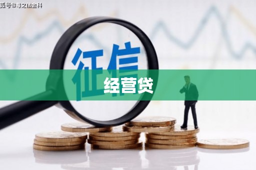 带岭经营贷