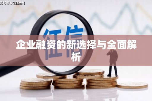带岭企业融资的新选择与全面解析