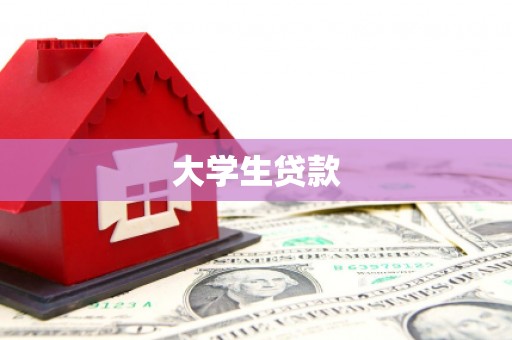带岭大学生贷款