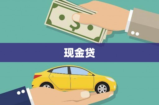带岭现金贷