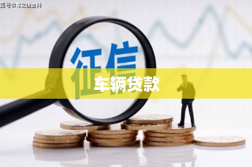 带岭车辆贷款